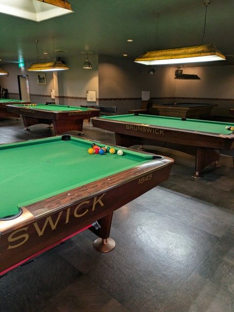 お宝ファイルNO.159　びりやーどだっく