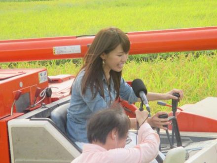 米どころ新潟　最高の一杯、一粒に出逢う旅