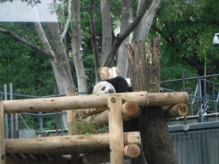 今日のテーマは『 あなたは調べる派？調べない派？ 』