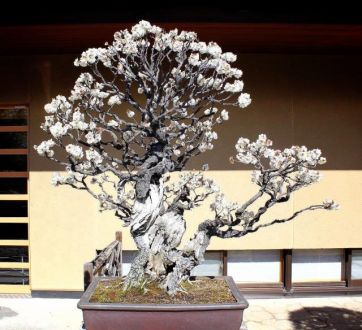 2月8日（水）今日の1コマ 