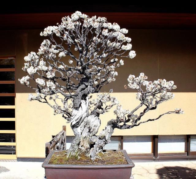 2月8日（水）今日の1コマ 