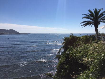 10月12日（月）担当：テット・ワダ