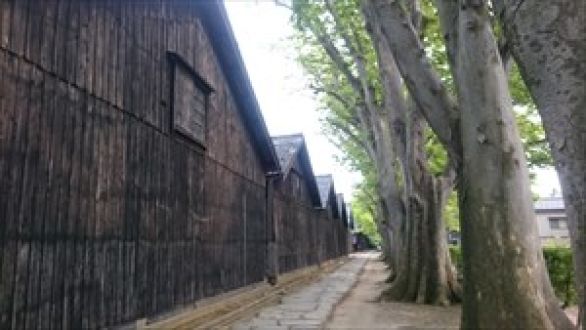 堺のライバル！？酒田湊町さんぽ with 酒田まつり