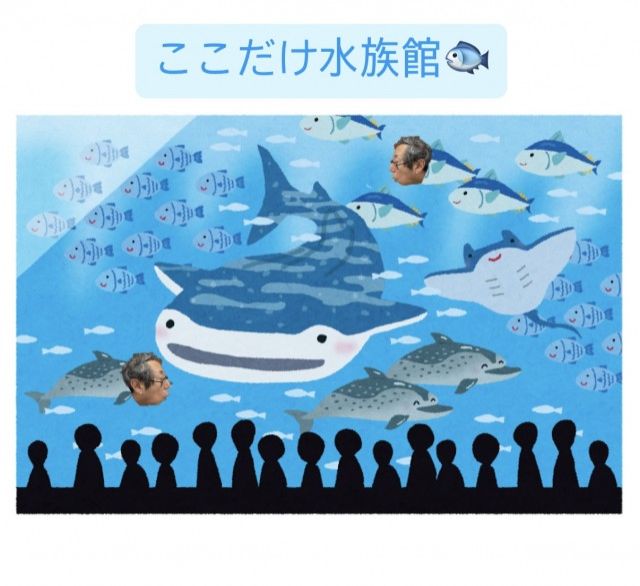 ここだけ水族館