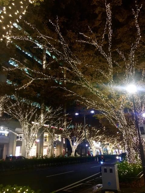 12月12日（水）今日の一コマ