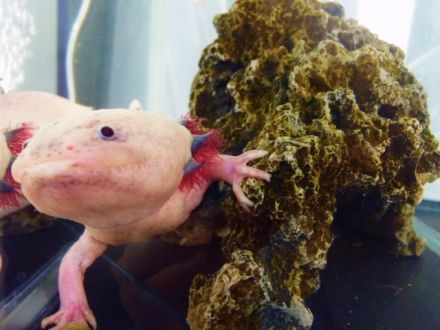 6月28日（火）今日の1コマ