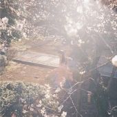 今週のおすトラ！は・・・