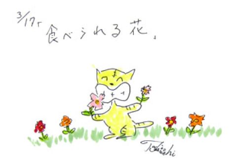 3月17日（月）のデリフラは・・・・