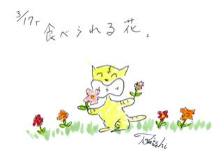 3月17日（月）のデリフラは・・・・