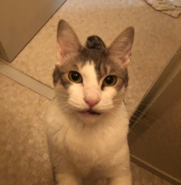 10月15日（月）今日の1コマ　