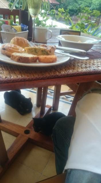 3月21日（水）今日の一コマ