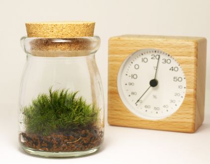 本日のプレゼント！！！