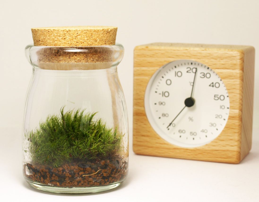 本日のプレゼント！！！