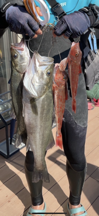 斉藤リョーツのいただき！うお！