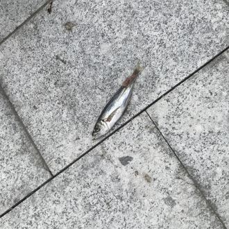 スぺシャル音声コンテンツ#4