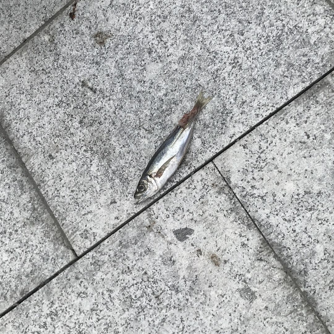 スぺシャル音声コンテンツ#4