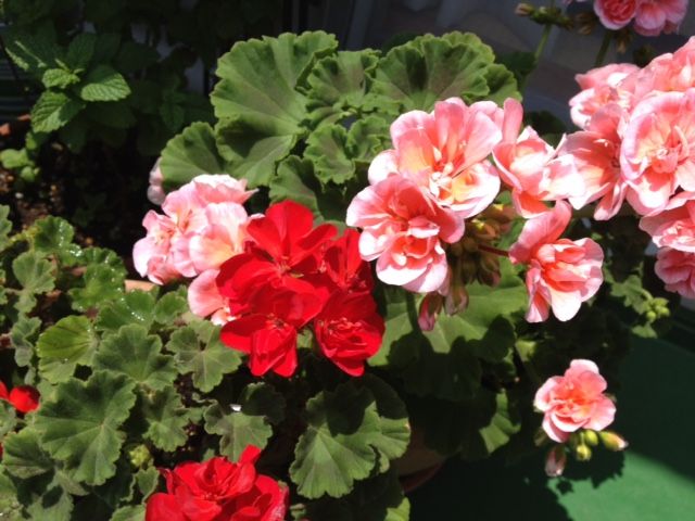 3月24日（火）今日の1コマ