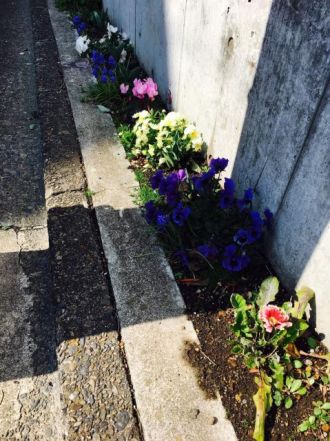 3月28日（火）今日の1コマ