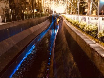 12月10日（月）今日の1コマ　