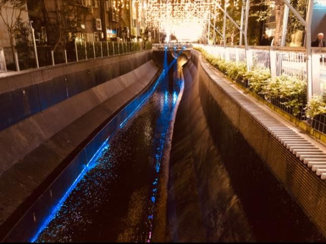 12月10日（月）今日の1コマ　