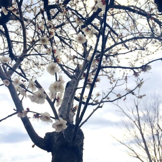 3月1日（水）今日の1コマ