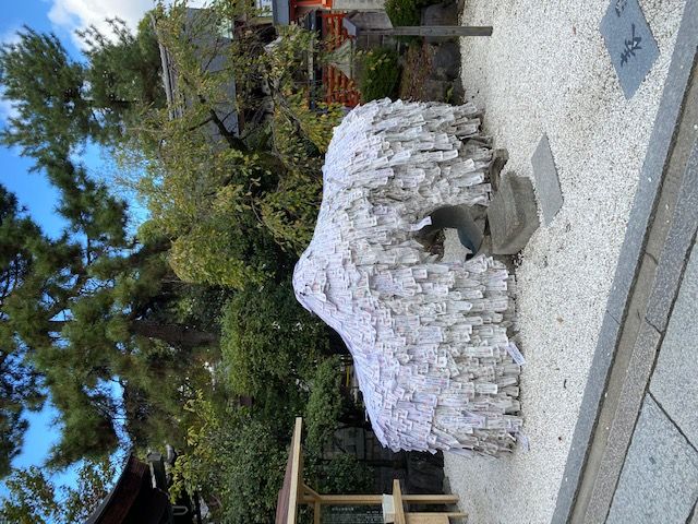 藤井悠のいただき！どすえ～