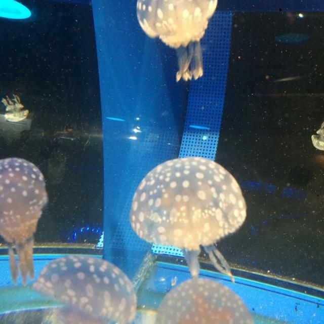 8月28日(金) 今日の1コマ♪