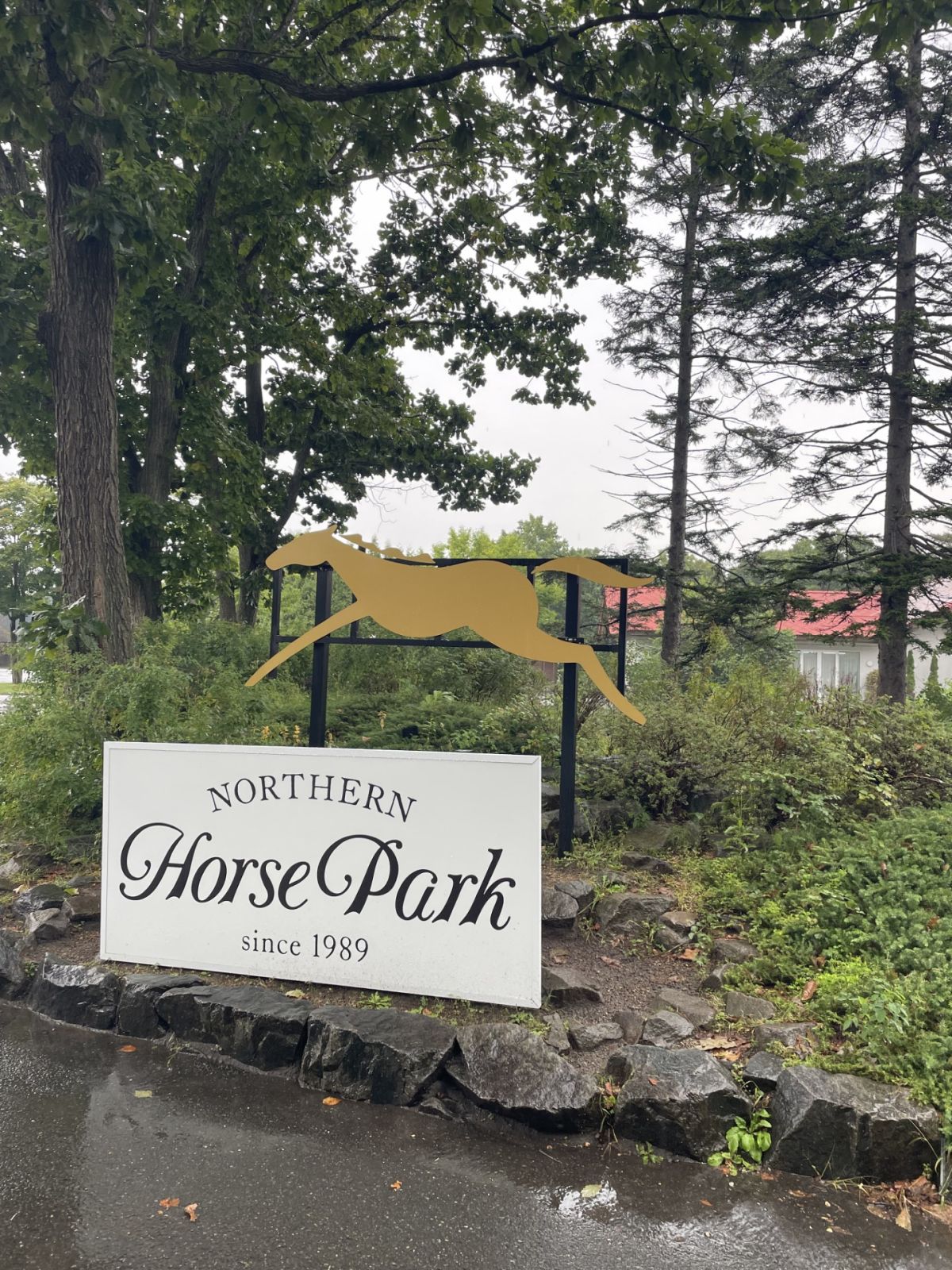 第104回【子供のころに戻れたらきっと・・・】