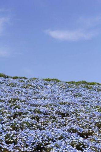4月21日（金）今日の1コマ