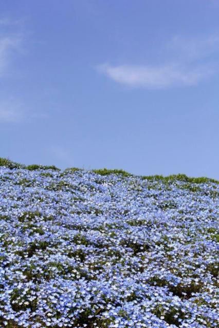 4月21日（金）今日の1コマ