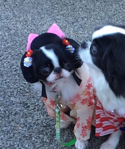 12月7日（月）担当：テット・ワダ