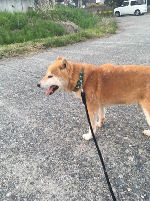 1月9日（火）今日の1コマ　