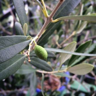 12月22日（月）今日の1コマ