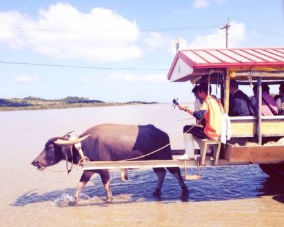 12月19日（金）今日の1コマ