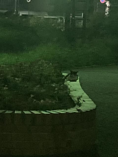 10月15日（木）今日の1コマ