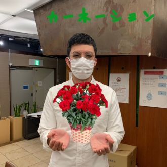 カーネーション