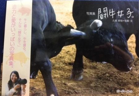 ６月１３日（木）のデイリーフライヤー