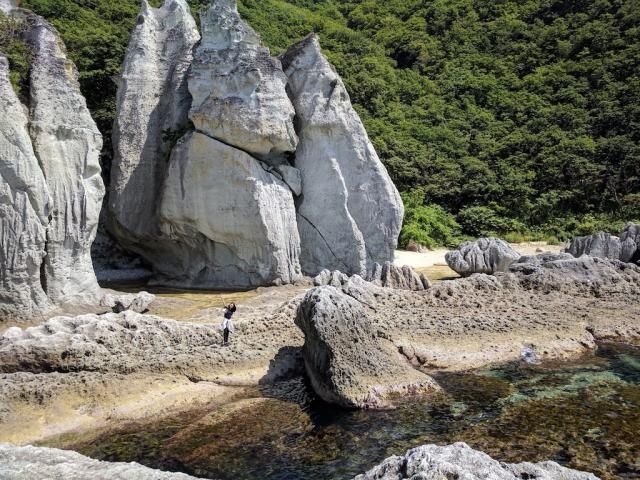 8月15日（水）今日の一コマ