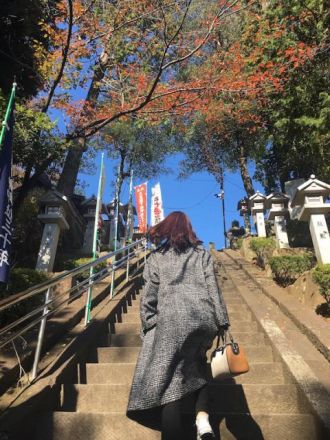 11月28日（水）今日の一コマ