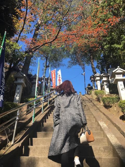 11月28日（水）今日の一コマ