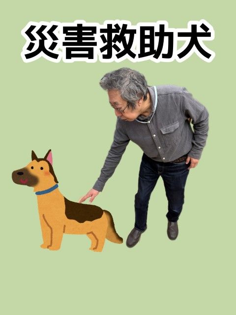 災害救助犬