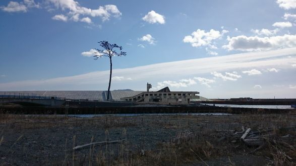 東北復興シリーズ～明日へ歩む人たち「陸前高田_大船渡編」