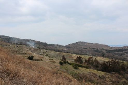＃8豊島　作品の隣にある忘れられない絶景～海の幸も山の幸も豊かな豊島～