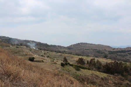 ＃8豊島　作品の隣にある忘れられない絶景～海の幸も山の幸も豊かな豊島～