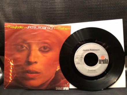 バイナルギャラリー (RHYMESTER DJ JINの秘蔵レコード)