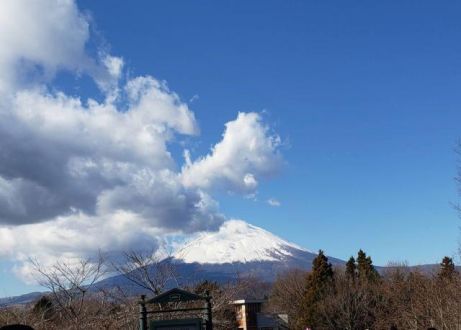 1月7日（月）  今日のメニューは？