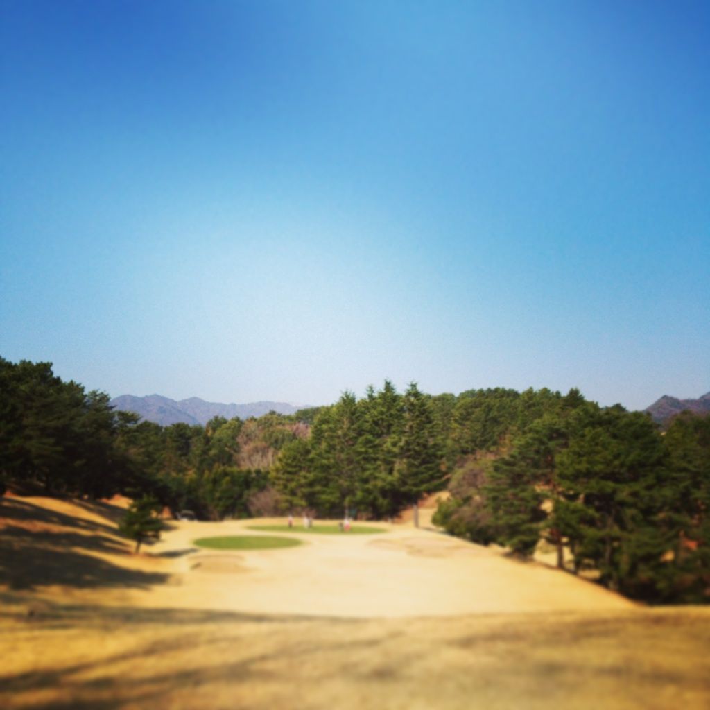 藤井悠のいただき＠今年初！