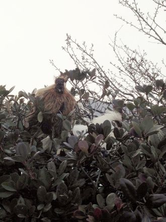 12月4日（金）今日の1コマ