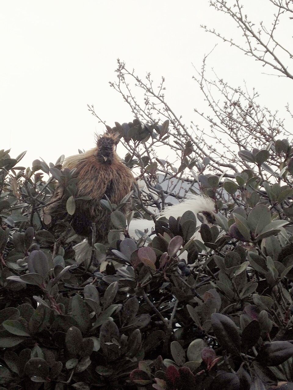 12月4日（金）今日の1コマ