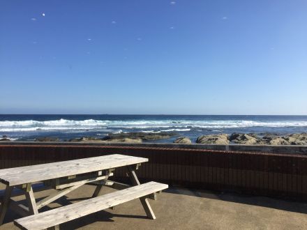 10月19日（月）担当：テット・ワダ